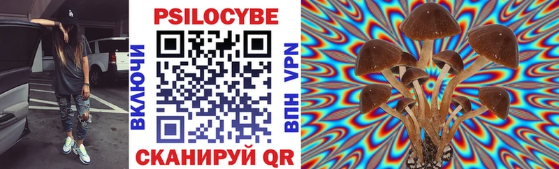 Псилоцибиновые грибы GOLDEN TEACHER  нарко площадка клад  Колпашево 